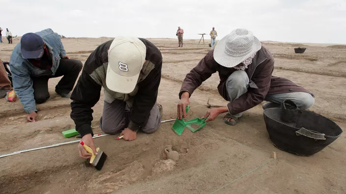 Égypte : un ancien site d'art rupestre, vieux de 10.000 ans, découvert dans le Sinaï