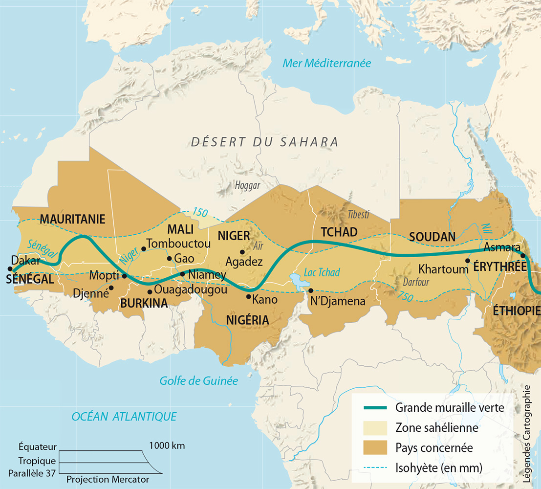 Le Sahel en recomposition : souveraineté, sécurité et nouvelles alliances
